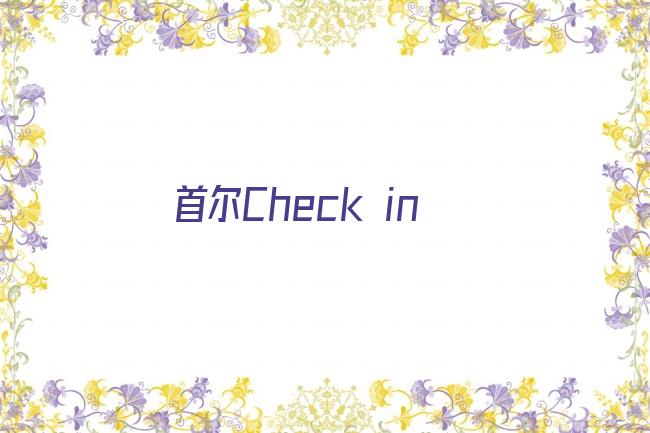 首尔Check in剧照